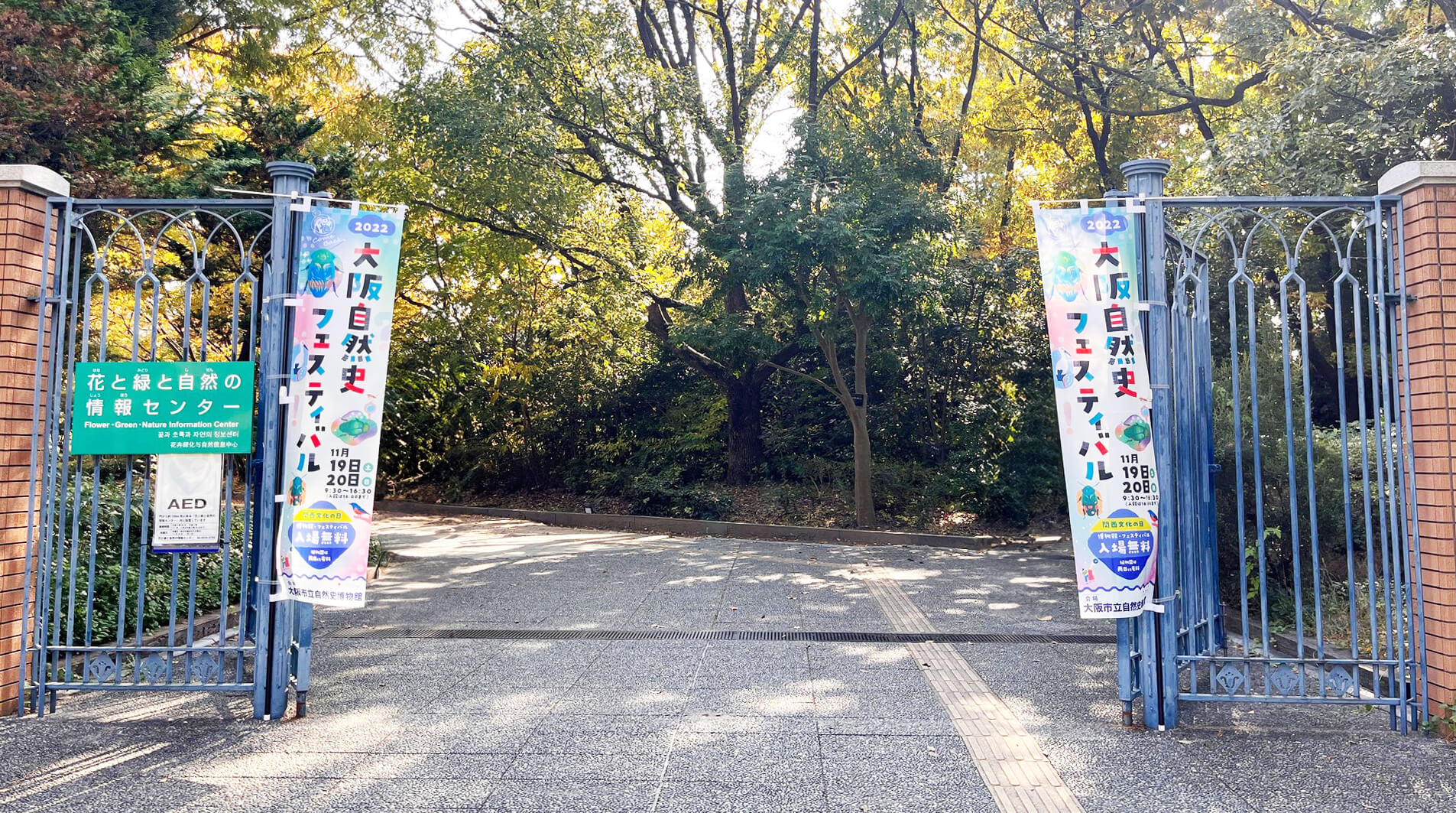 大阪自然史フェスティバル のぼりザイン